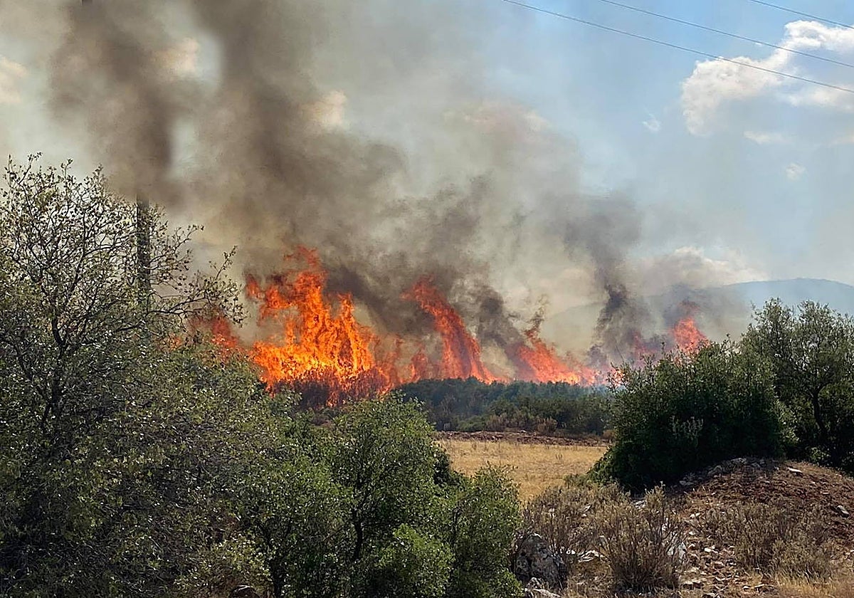 Incendio en la región de Acaya, Grecia