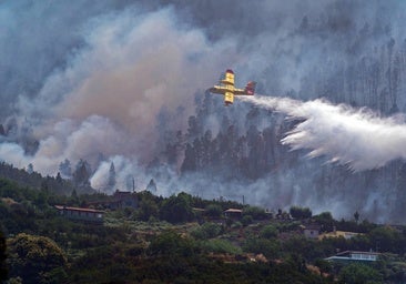 Los incendios forestales respetan la primera mitad de 2024: un 64,2% menos que de enero a junio del año pasado