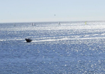 Al menos tres muertos y siete desaparecidos en el naufragio de un pesquero frente a las costas de Portugal