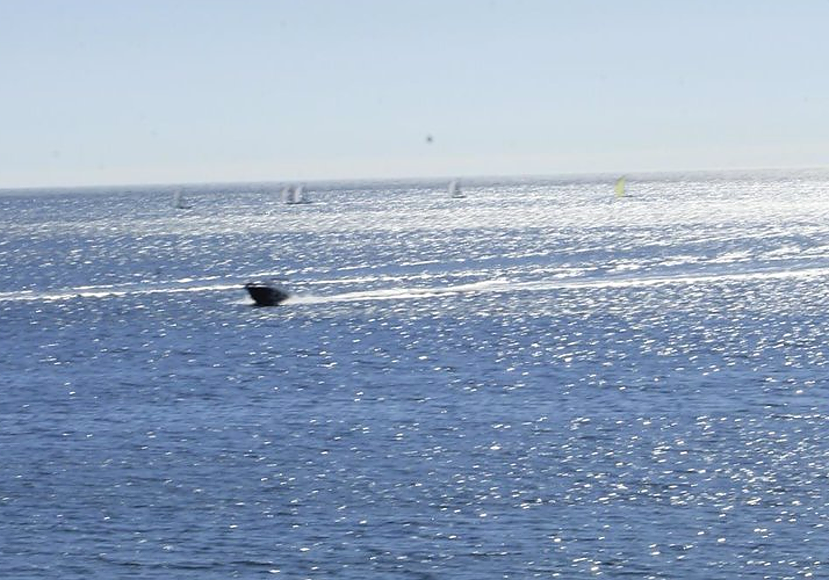 Una embarcación cerca de la costa de Estoril, en Portugal