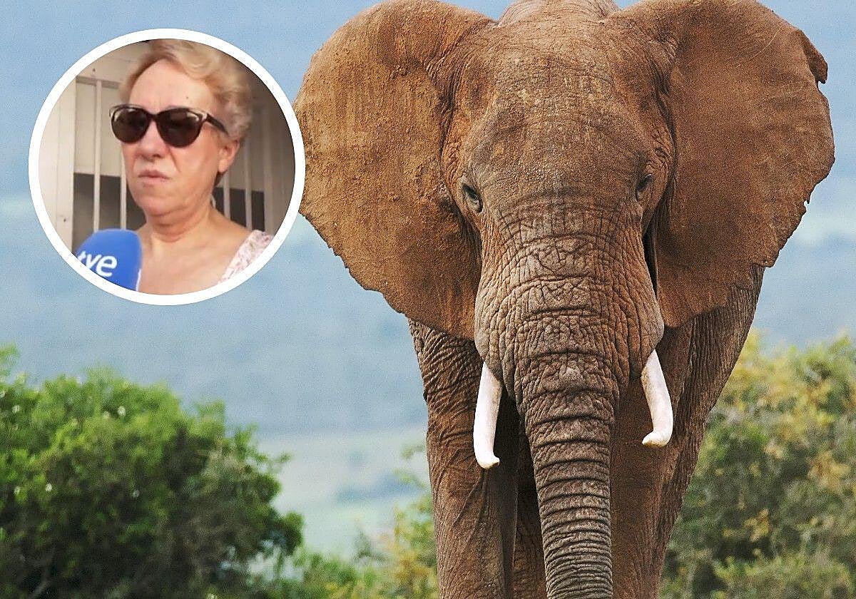 La madre del turista aplasto por un elefante en Sudáfrica habla sobre el accidente