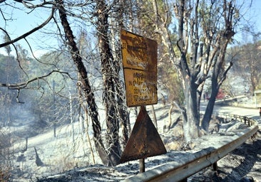 La ola de calor que azota Grecia registra 47 incendios forestales en 24 horas