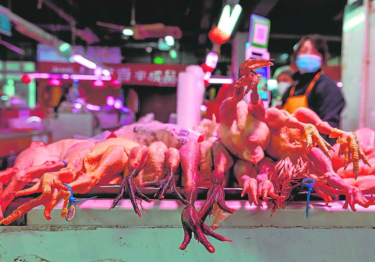 Aves en un expositor de un mercado chino