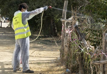 La prontitud del virus del Nilo augura un verano con más casos