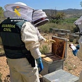 La Guardia Civil investiga a 11 personas por comercializar más de 40 toneladas de miel ecológica contaminada de China