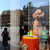 La última excentricidad para los dueños de perros es un perfume que cuesta cien euros