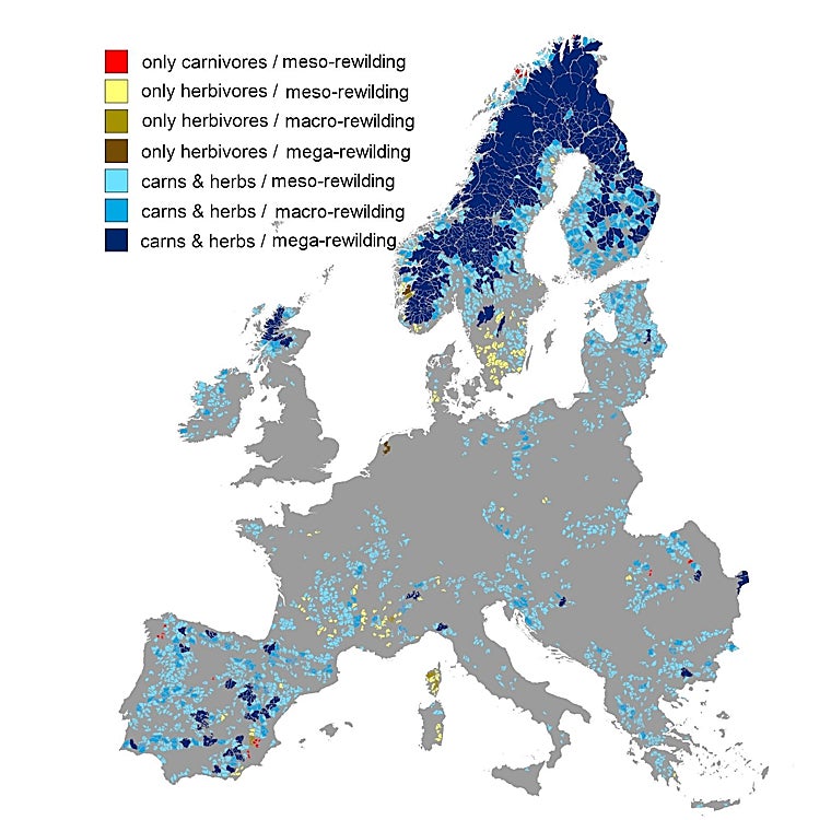 Esta figura muestra cómo casi el 25% del continente europeo está preparado para oportunidades de reintroducción de especies silvestres, que incluyen la reintroducción pasiva (gradientes de azul) que permite la recolonización natural de los animales, así como la reintroducción activa (amarillo, marrón y rojo) en la que los animales se reintroducen manualmente en el área