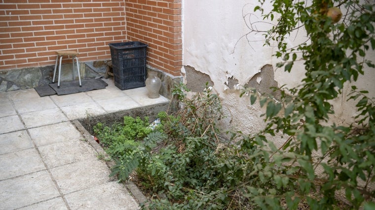 Desde fuera, la casa de Fernando luce descuidada, como si no viviera nadie allí desde hace años