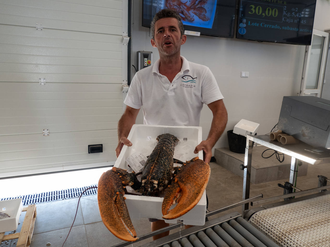 Un miembro de la cofradía muestra una captura de Bogavante de casi 6 kilos y medio de peso.