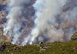 España envía ayuda a Madeira para combatir el incendio que arrasa la isla