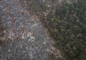 Brasil enfrenta la peor sequía de su historia que genera un aire tóxico para humanos