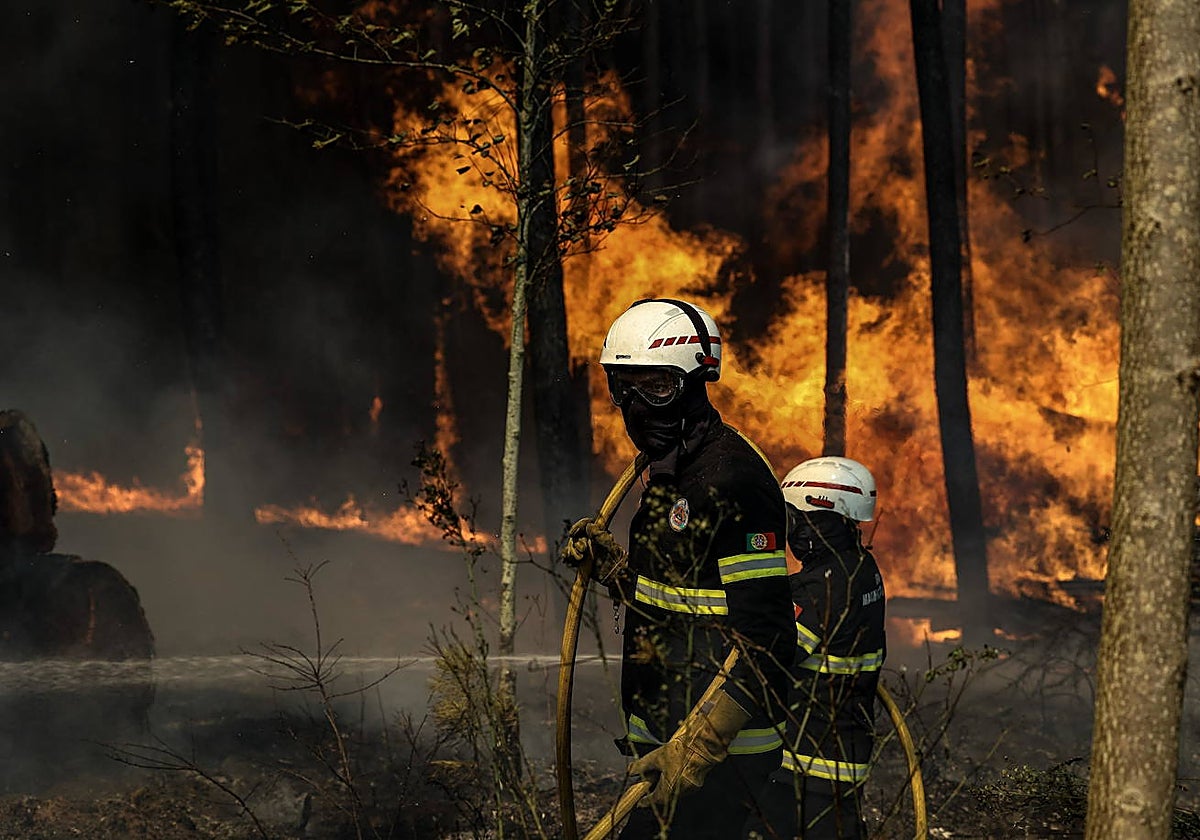 Un bombero en acción en el incendio forestal en Soutelo, Albergaria-a-Velha, Portugal