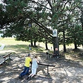 El Vaticano duda de que sean auténticas las apariciones de Garabandal y El Escorial