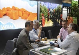 Referencia mundial en el sector de Frutas y hortalizas