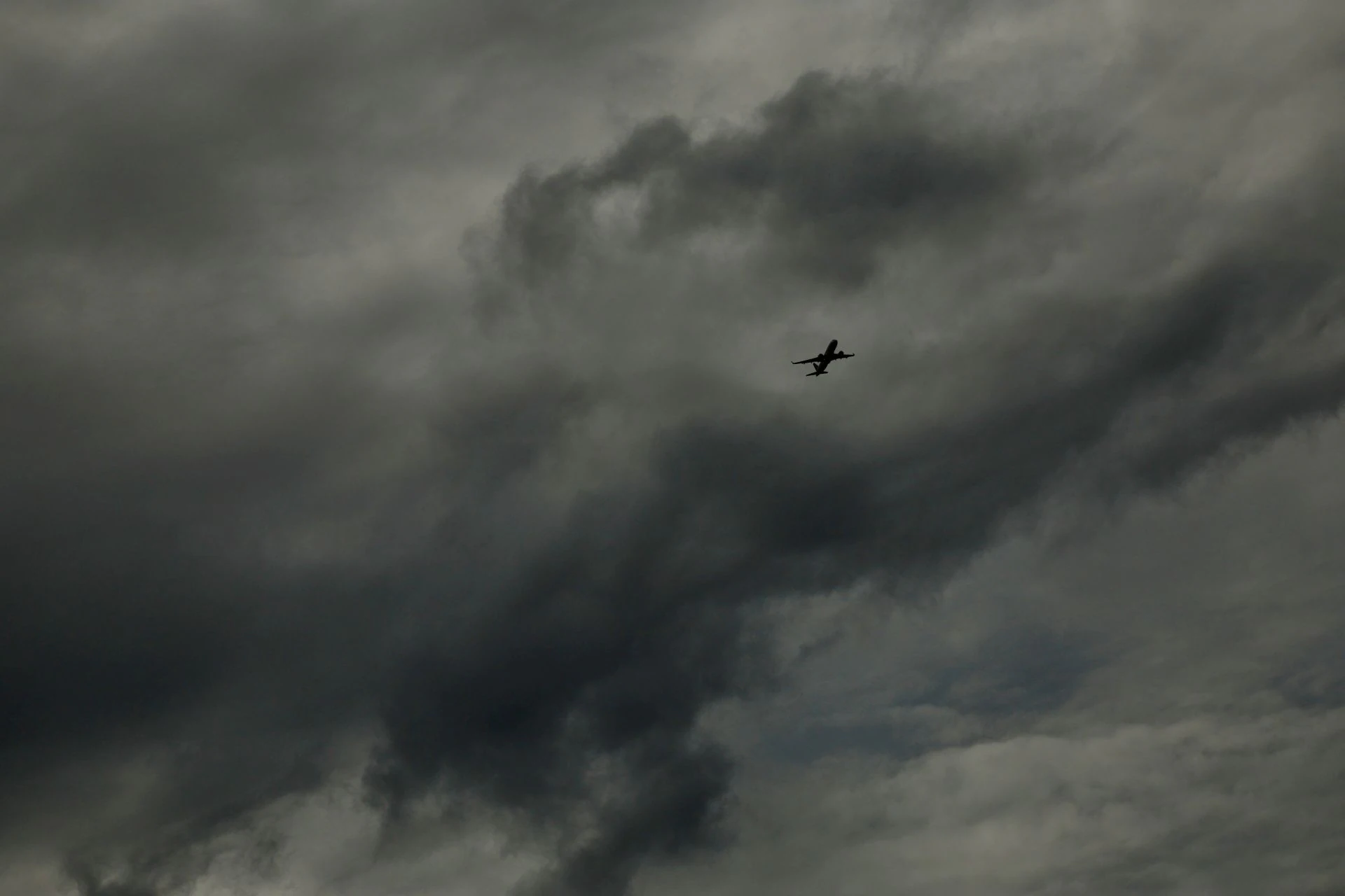 El cielo encapotado con un ave que espera la llegada de la tormenta