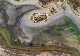 El verano hace estragos en Doñana: la mayor laguna del espacio protegido se seca por tercer año consecutivo