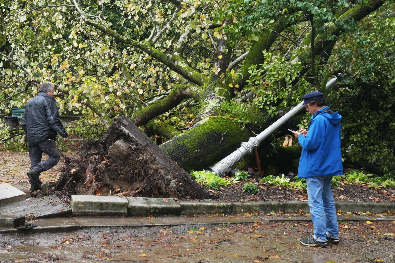 Destrozos en un parque de Santiago de Compostela, en La Coruña
