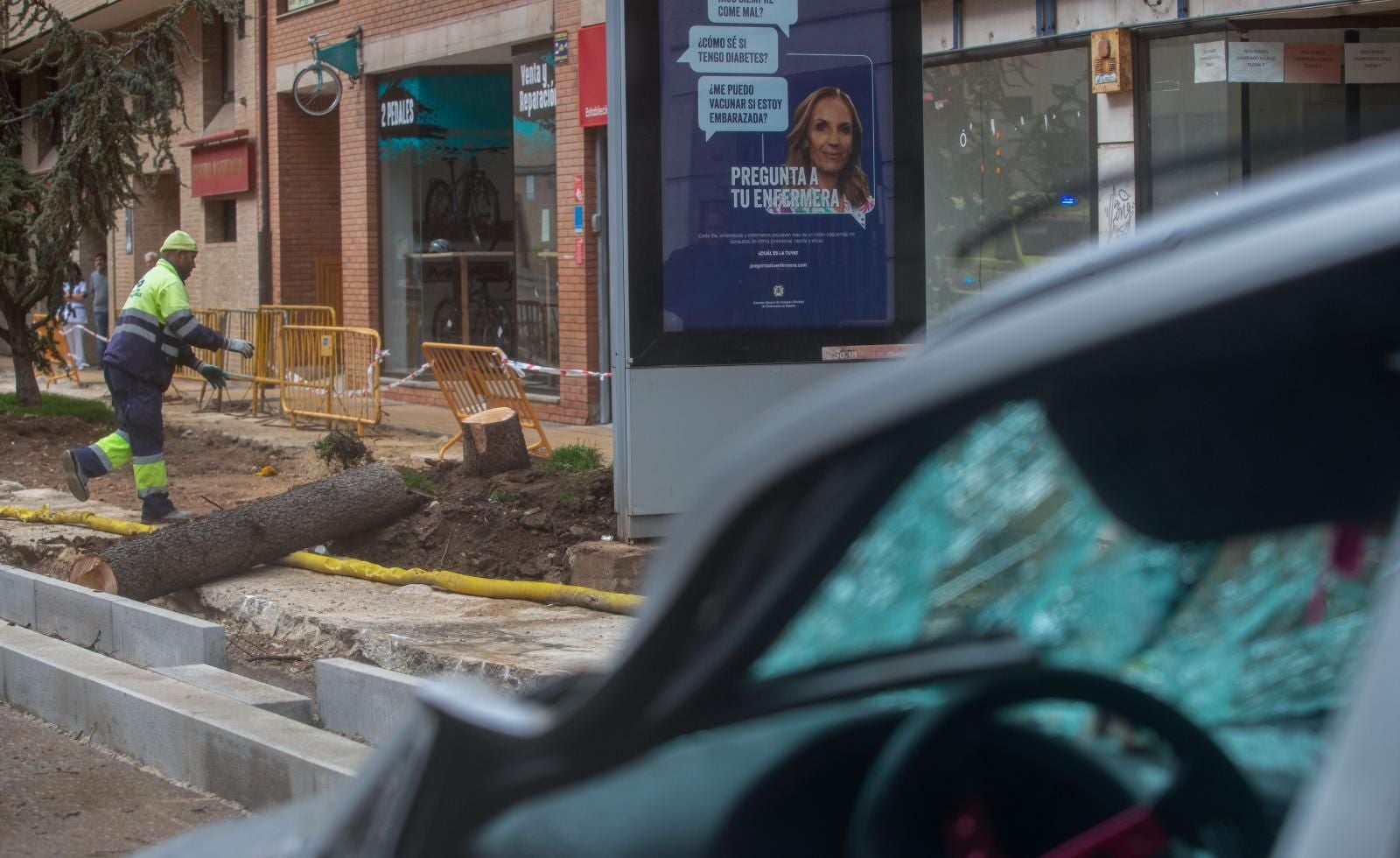 Un árbol ha caído sobre un vehículo este martes en Soria