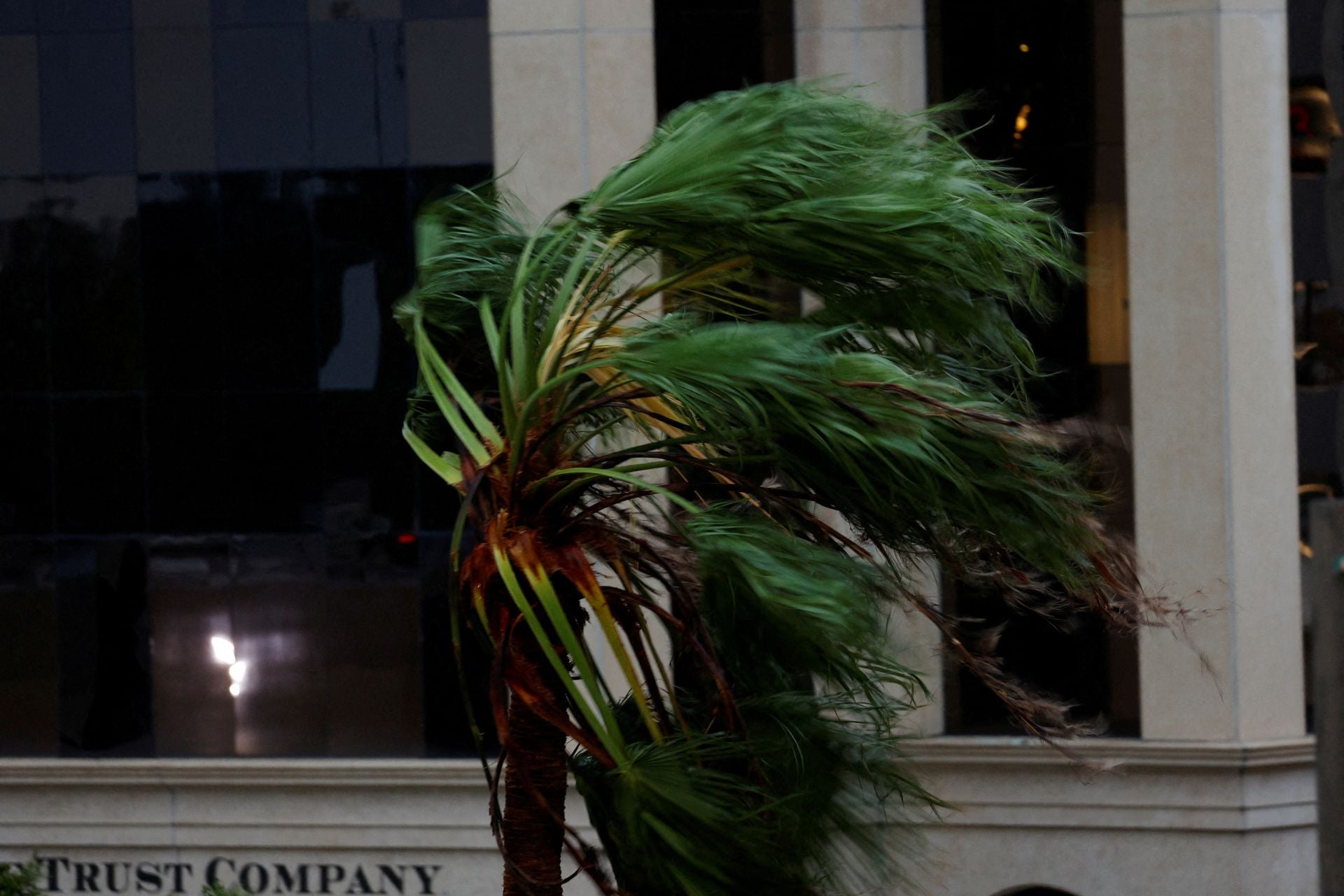 Una palmera se mueve debido a los fuertes vientos cercanos a los 165 kilómetros por hora