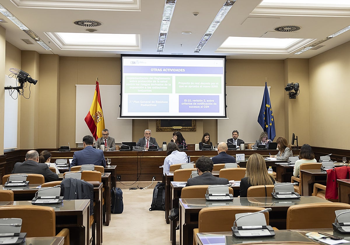 Juan Carlos Lentijo, en la comisión del Congreso