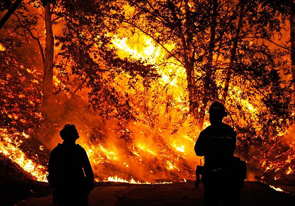 Incendio en Canadá, en 2009