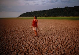 La Amazonía se enfrenta a su peor sequía: «Todo está seco»