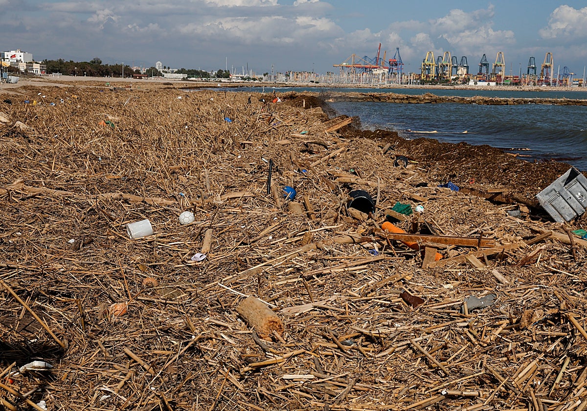 Vista de la Playa de El Saler, en la Comunidad Valenciana