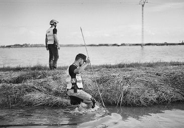 Buscando a Florin y Axinia por los arrozales