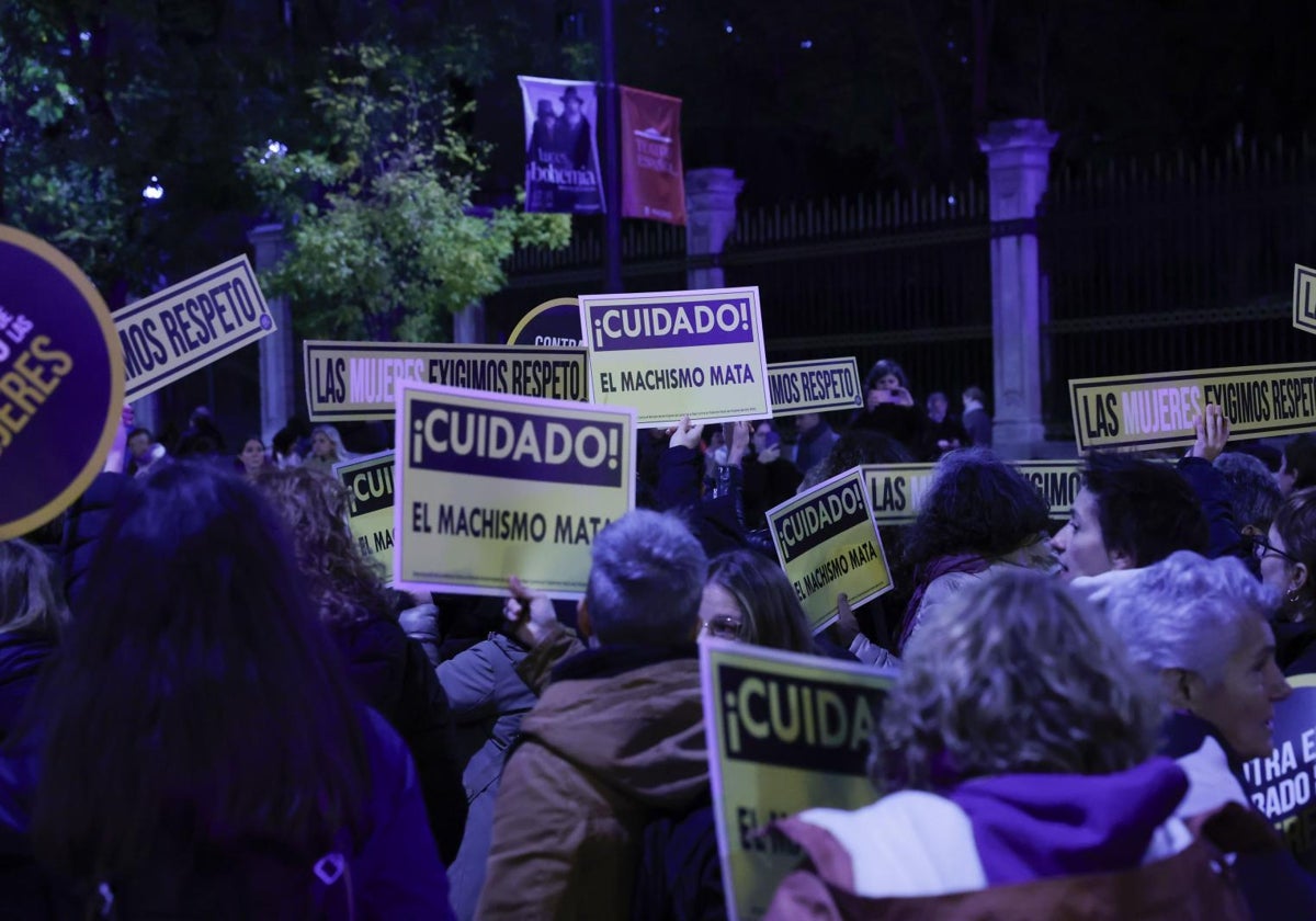 La manifestación del 25N, en imágenes