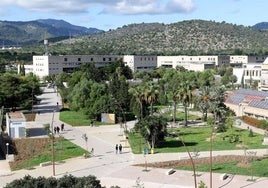 Un apagón en la universidad de Baleares hace temer por las investigaciones en sus laboratorios