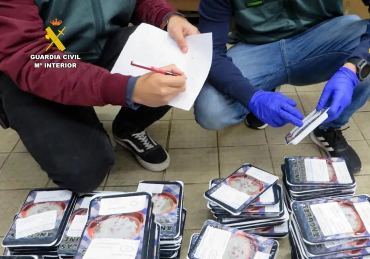 Agentes de la Guardia Civil durante la operación