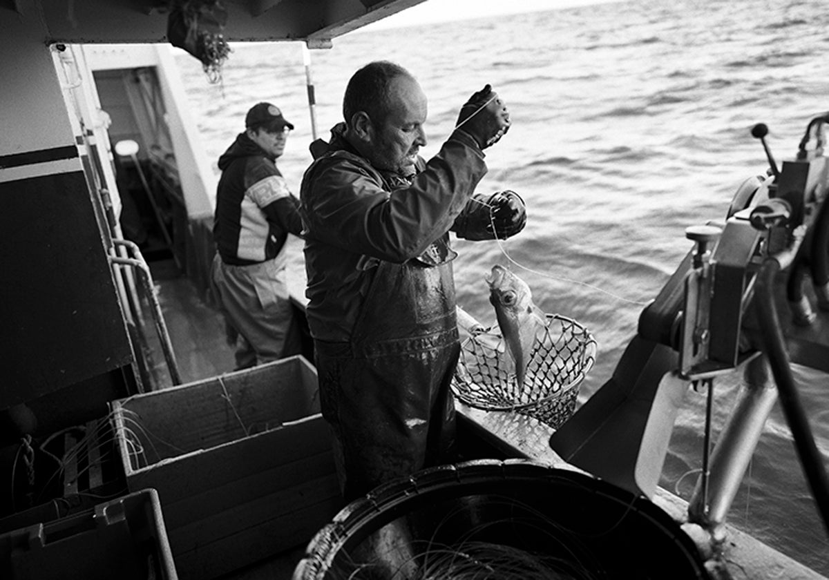 Un viaje al corazón de la pesca que lucha por sobrevivir, en imágenes