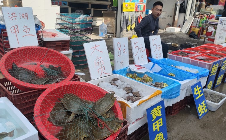 Imagen principal - Arriba, Un hombre vende tortugas vivas y marisco en el Nuevo Mercado de Huanan. Abajo, un caminón transporta gallinas en los alrededores de Wuhan. Sobre estas líneas, vallas azules cercan el emplazamiento original del Mercado de Huanan, origen de la pandemia.