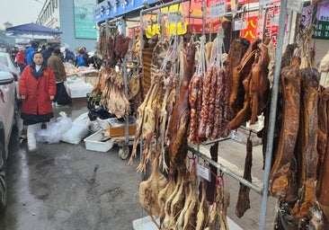 Regreso a Wuhan cinco años después