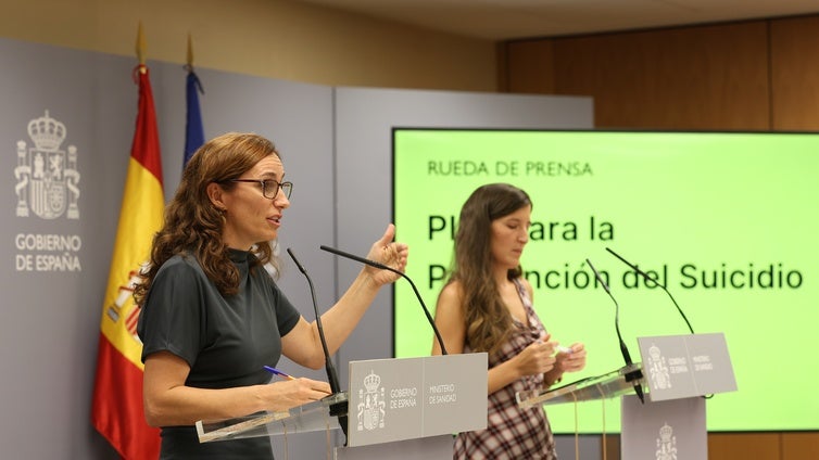 Los psiquiatras se desmarcan del plan de salud mental del Gobierno: «No nos representa»