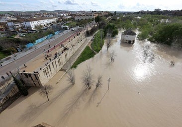 Las lluvias y las crecidas siembran el caos en Andalucía y Murcia