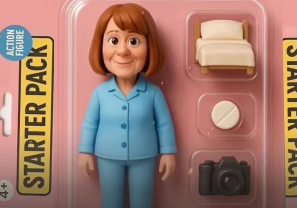 El 'starter pack' de Gisèle Pelicot
