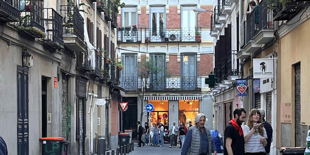 Acopio de libros en una librería de Madrid para hacer frente al apagón