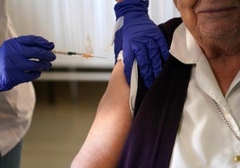 La EMA investiga la vacuna 'Ixchiq' contra la chikungunya tras tener efectos graves en personas mayores