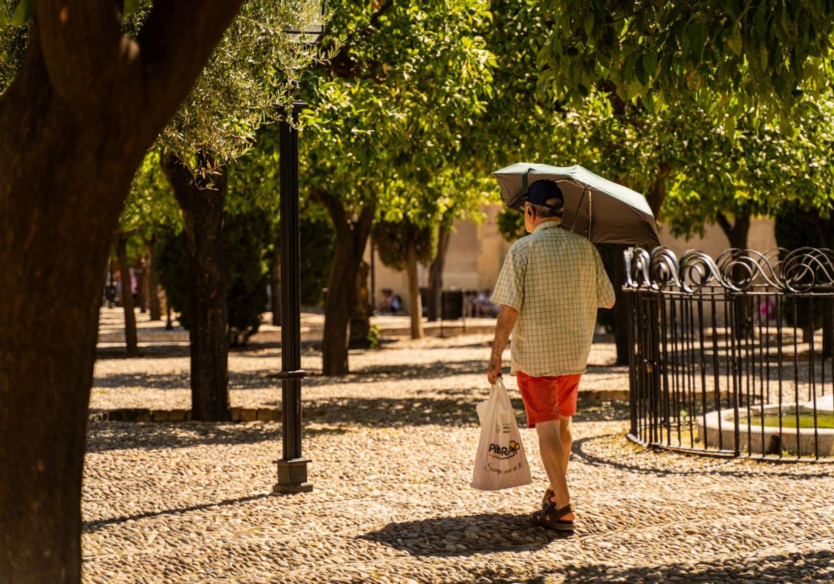 Turistas y cordobeses se resguardan del sol para hacer frente a las altas temperaturas registradas en Córdoba, a 19 de agosto de 2024