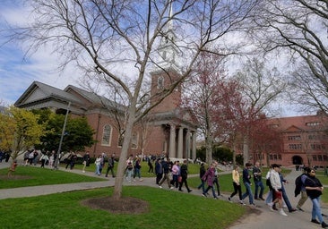 Trump pausa las nuevas citas para visados de estudiantes y prepara una expansión de la revisión de redes sociales
