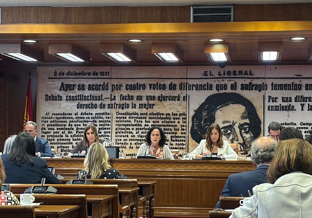 Ana Peláez Narváez, vicepresidenta ejecutiva de la Fundación Cermi Mujeres, ante la comisión de Igualdad del Senado
