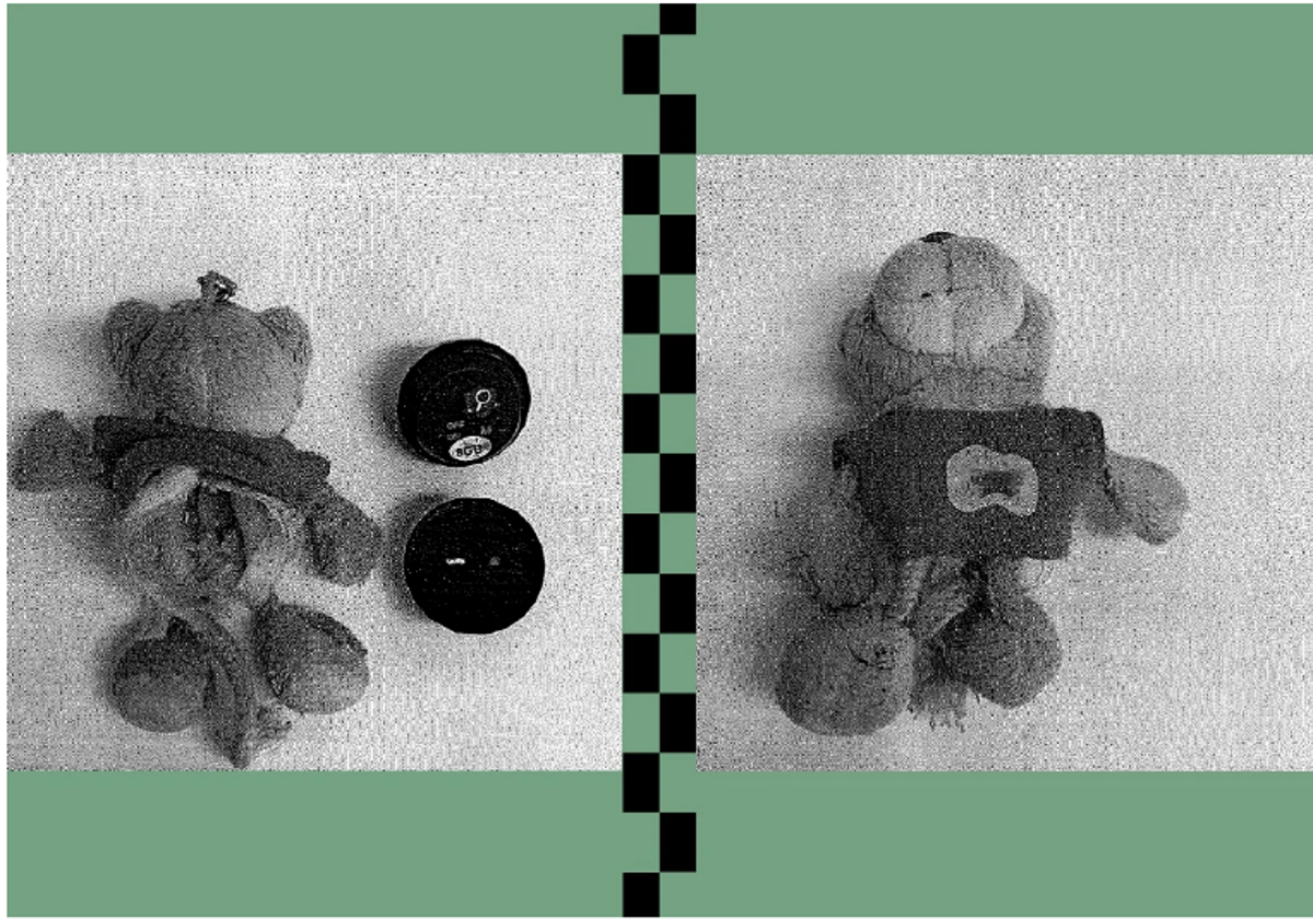 Imagen del oso de peluche en el que se introdujo un micrófono para grabar los insultos de las profesoras