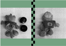 Imagen del oso de peluche en el que se introdujo un micrófono para grabar los insultos de las profesoras