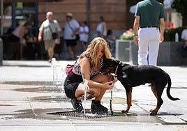 Más que mascotas: el Día del Perro reivindica amor, respeto y adopción responsable