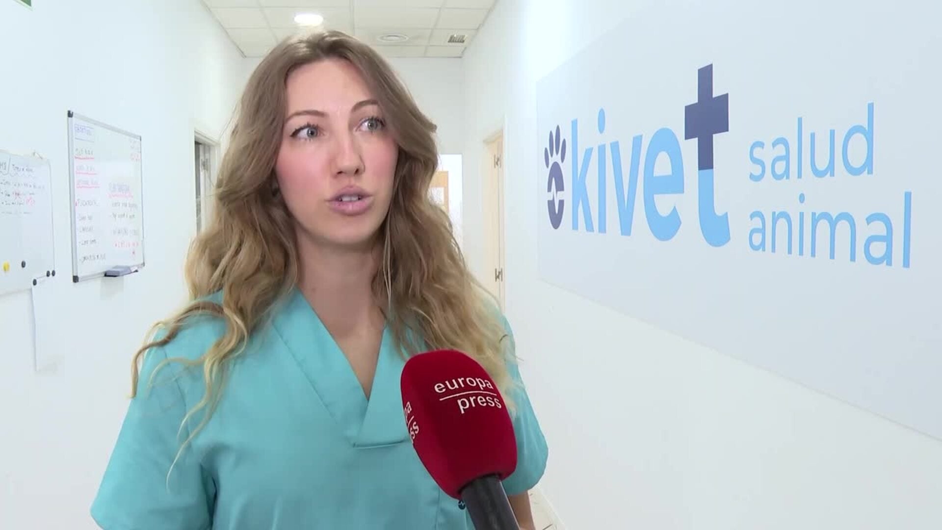 Veterinarios advierten de la importancia de planificar los viajes con mascotas