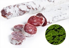 La Aesan alerta de la presencia de Salmonella en fuet de varias marcas