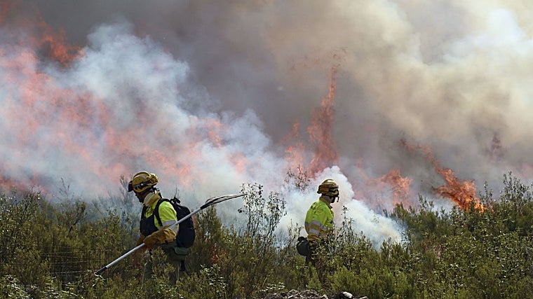 Los brigadistas trabajan en las labores de extinción del incendio de Puercas, en Zamora