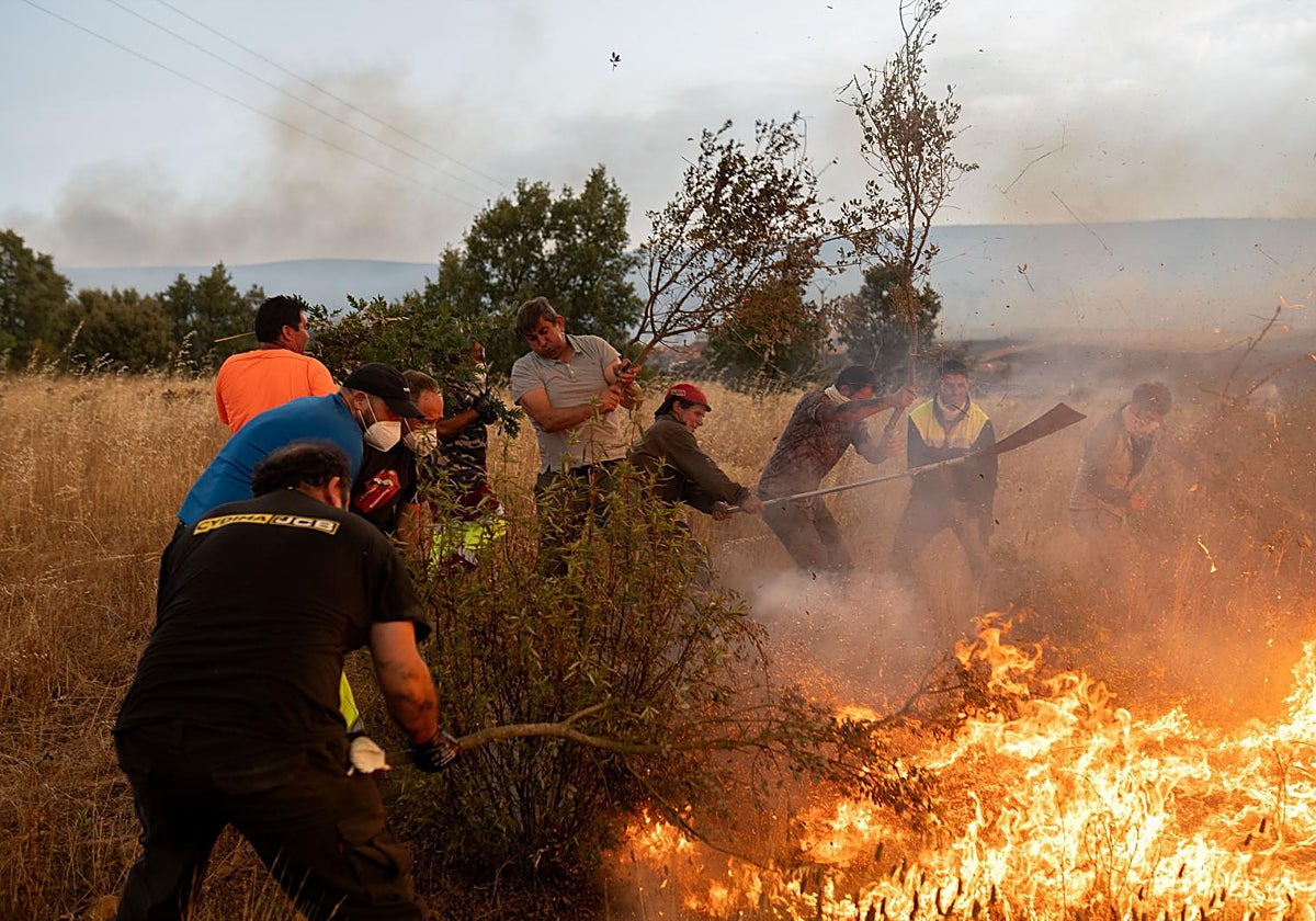 Varias personas tratan de apagar el fuego, a 12 de agosto de 2025, en Abejera, Zamora, Castilla y León (España)