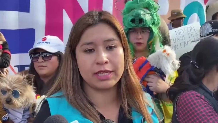 'Patitas del Bicentenario', el festejo con el que Bolivia celebra el Día del Perro